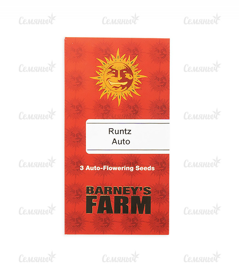 Семена сорта   Runtz Auto fem (Barneys Farm) 