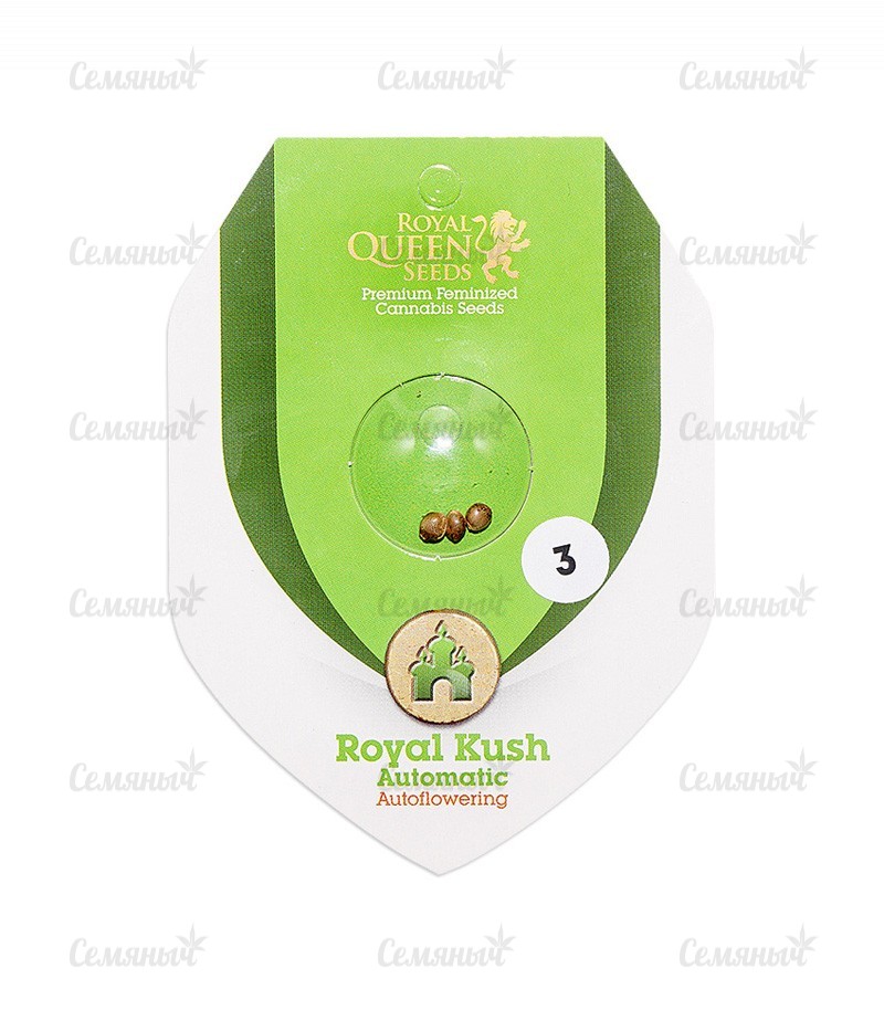 Семена сорта   Royal Kush Automatic fem (RQS) 