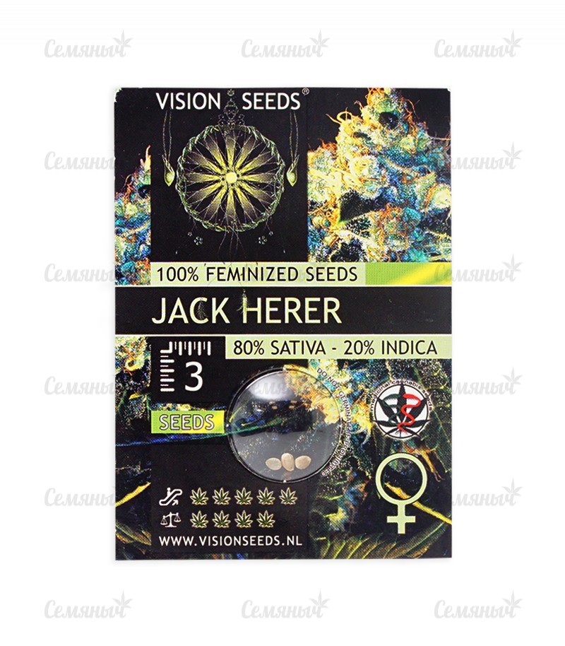 Семена сорта   Jack Herer fem (Vision Seeds) 