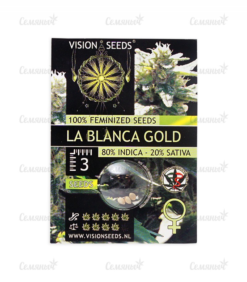 Семена сорта   La Blanca Gold fem (Vision Seeds) 