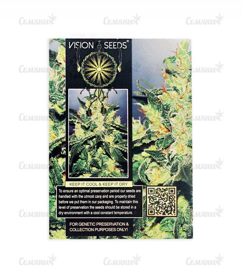 Семена сорта   Vision Jack Auto Fem (Vision Seeds) 