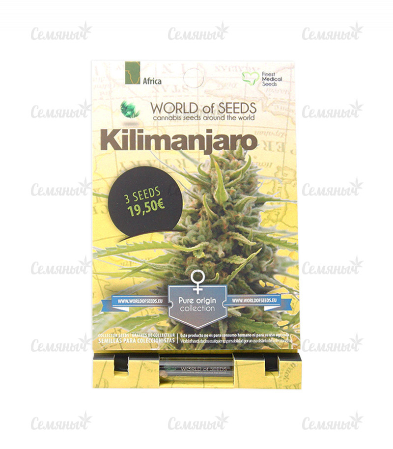 Семена сорта   Kilimanjaro fem (World of Seeds) 