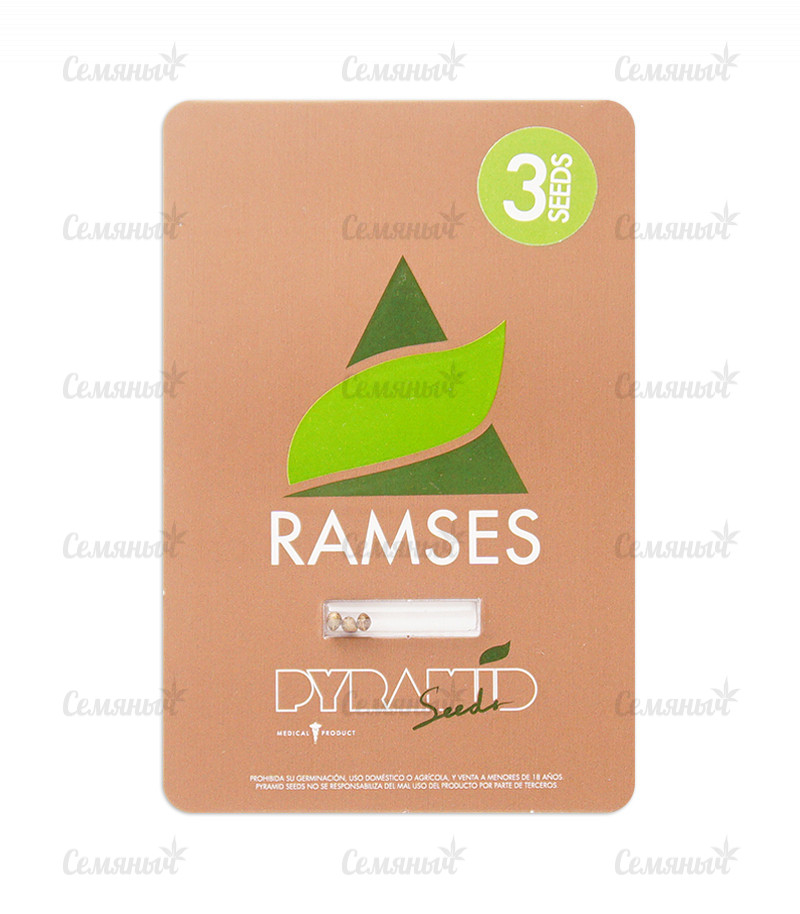 Семена сорта   Ramses fem (Pyramid Seeds) 