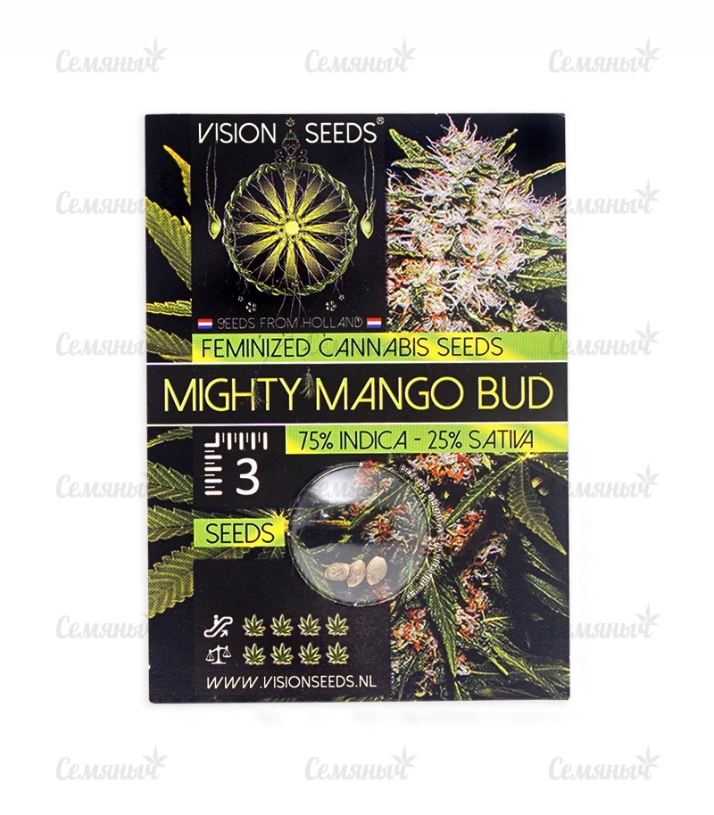 Семена сорта   Mighty Mango Bud fem (Vision Seeds) 