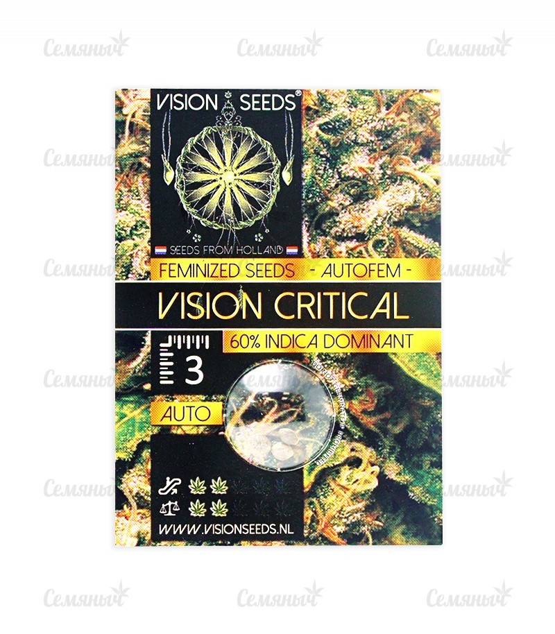 Семена сорта   Vision Critical Auto Fem (Vision Seeds) 