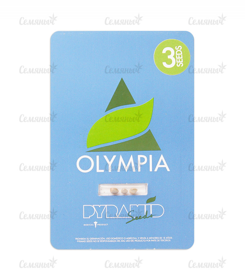 Семена сорта   Olympia fem (Pyramid Seeds) 