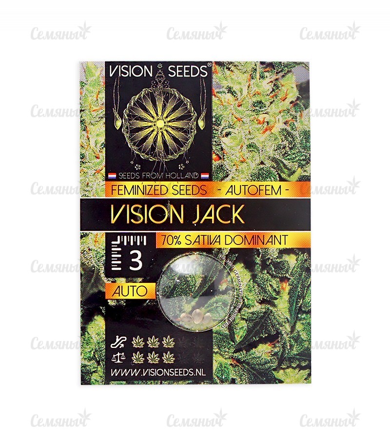 Семена сорта   Vision Jack Auto Fem (Vision Seeds) 