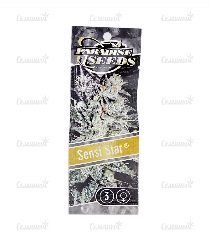 Семена сорта   Sensi Star fem (Paradise Seeds) 