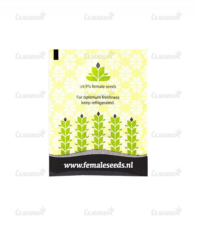 Семена сорта   Indoor Mix fem (Female Seeds) 