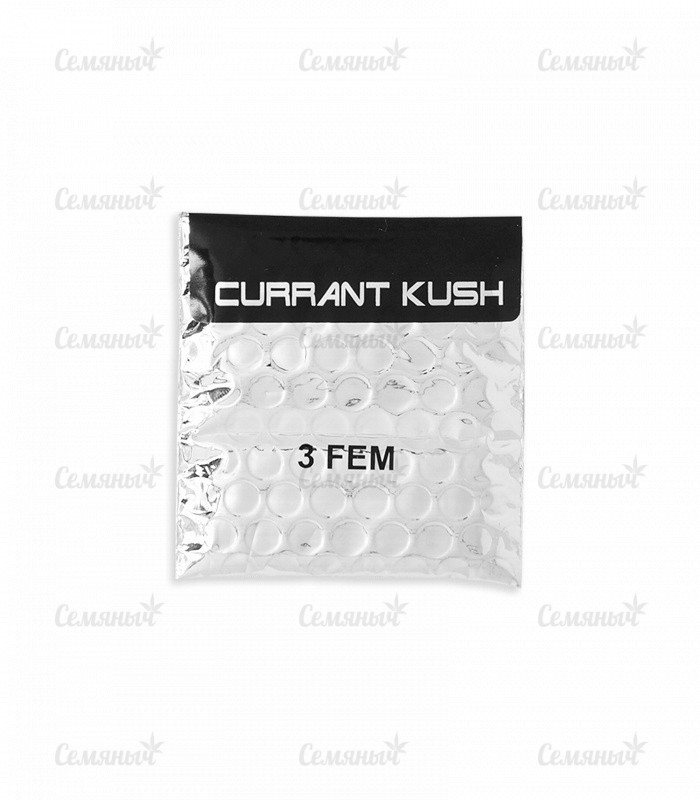 Семена сорта   Currant Kush fem (VIP seeds) 