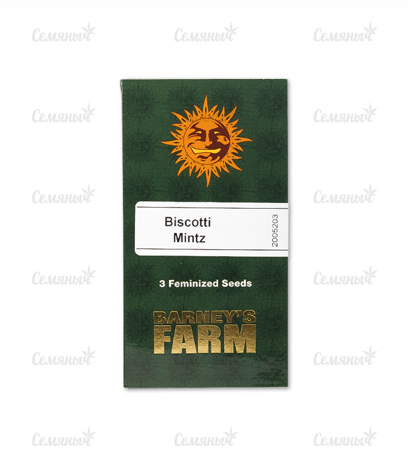 Семена сорта   Biscotti Mintz fem (Barneys Farm) 