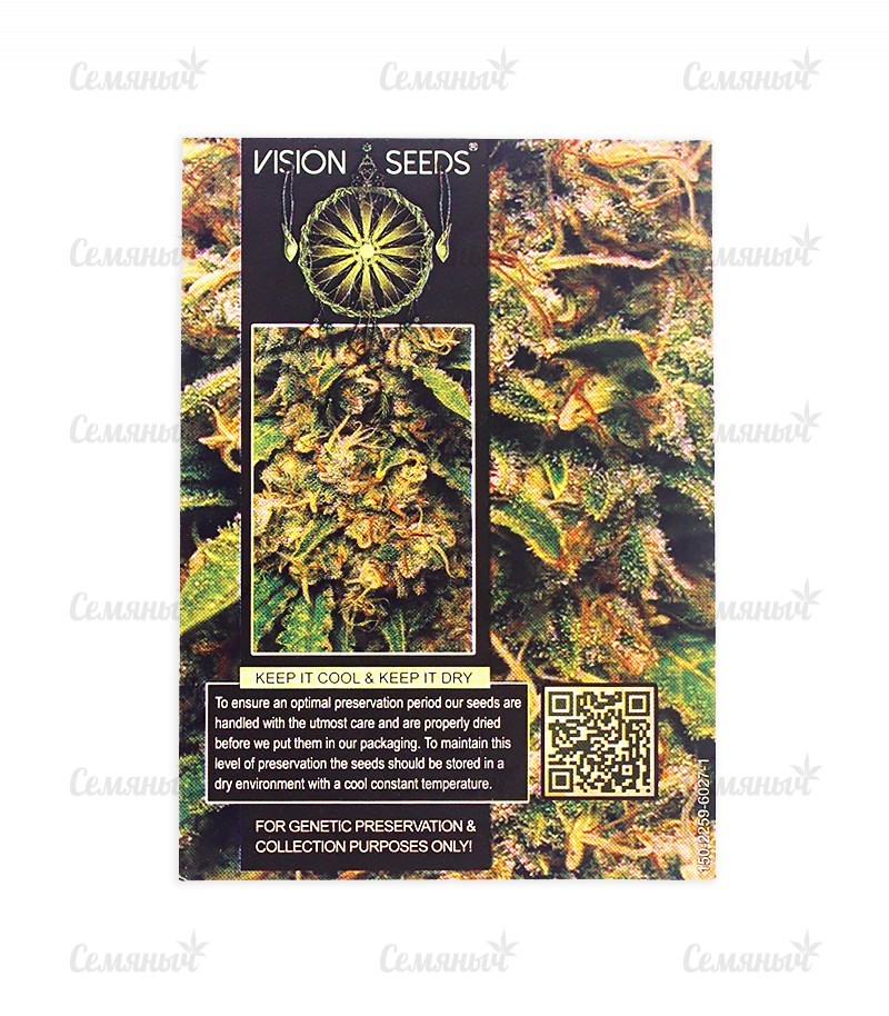 Семена сорта   Vision Critical Auto Fem (Vision Seeds) 