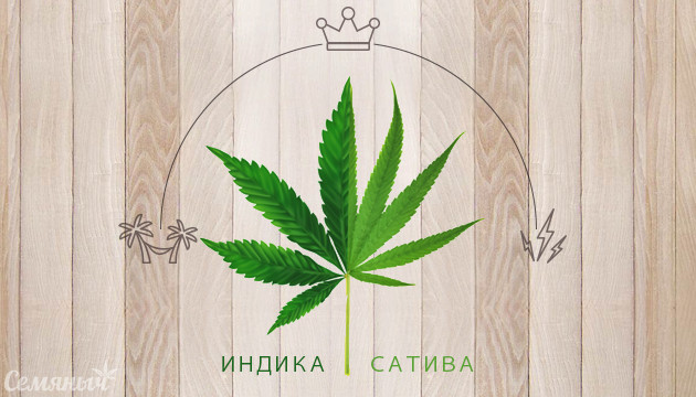 Индика