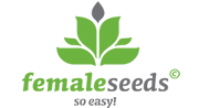 Купить   Female Seeds  семена конопли