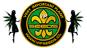 Купить   VIP Seeds  семена конопли