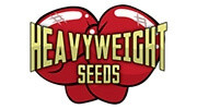 Купить   Heavyweight Seeds  семена конопли