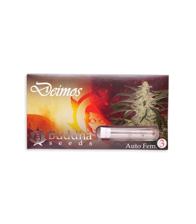 Семена сорта   Buddha Deimos Auto fem (Buddha Seeds) 