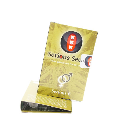 Семена сорта   Serious 6 regular (Serious Seeds) 