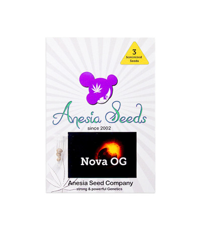 Семена сорта   Nova OG fem (Anesia Seeds) 